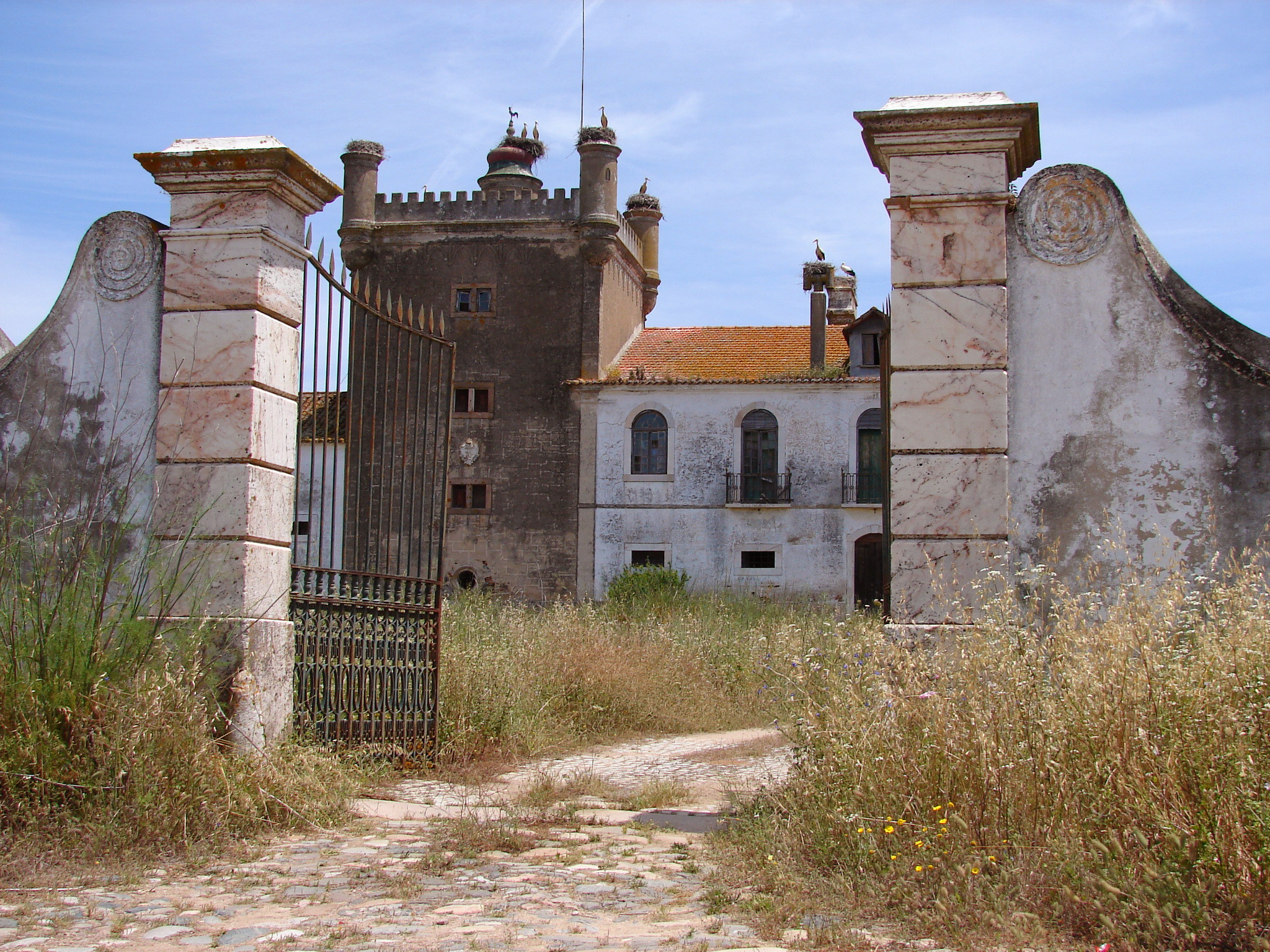 Paulo_Morgado_Torre de Palma.JPG