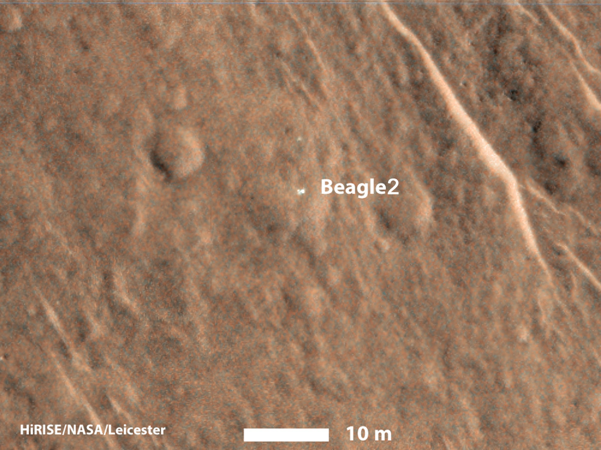 beagle2.jpg