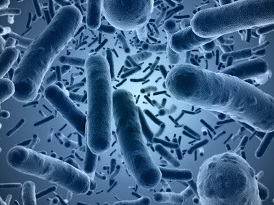 bactérias.jpg