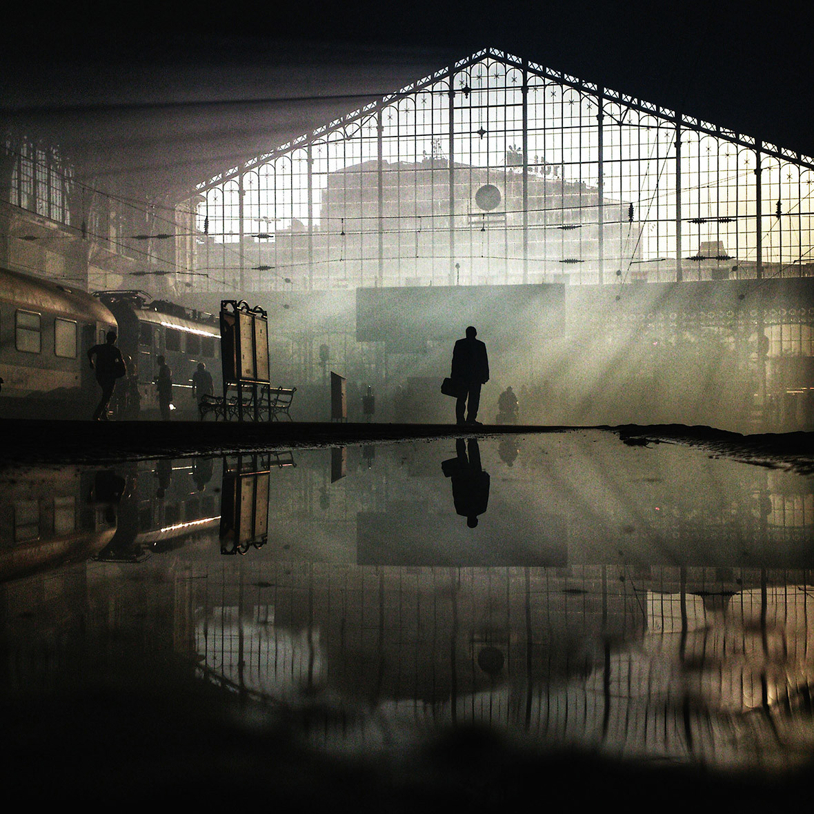 Segundo Lugar Concurso Foto de Telemóvel: Janos M Schmidt, Hungria