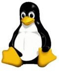 Defensores do Linux insurgem-se contra acordo celebrado com a Microsoft