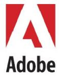 Adobe lança Flash player para Linux