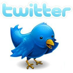 users_0_14_twitter-logo-3c8e.jpg