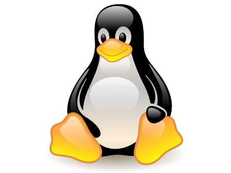 users_0_14_linux-9a36.jpg