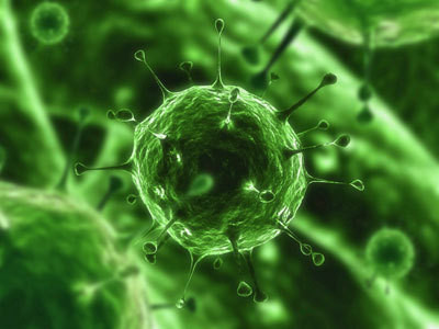 users_0_13_virus-1-80b5.jpg