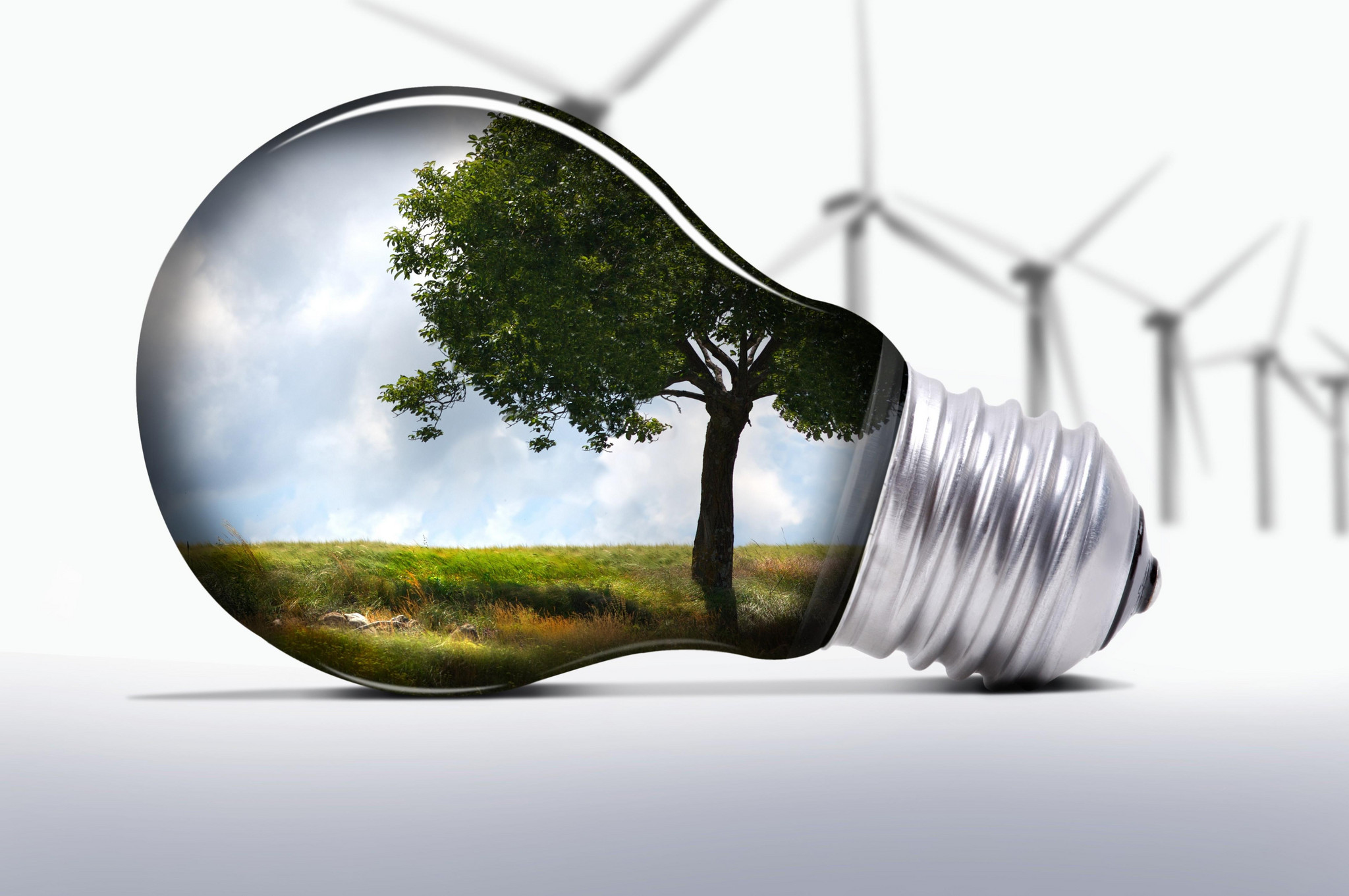 lightbulb_nature_windmills_ecology_technology_hd-wallpaper-14566.jpg