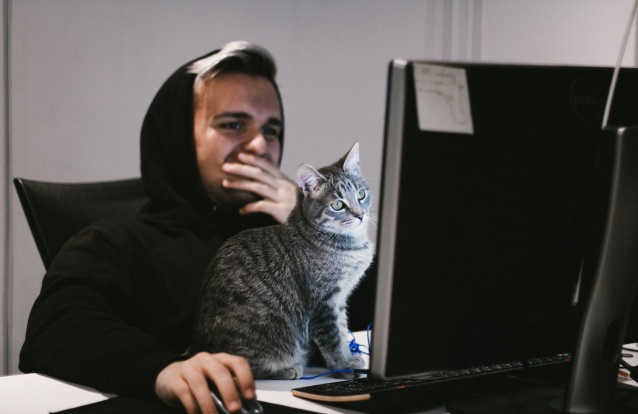 Covid-19 | Pesquisas online | Priberam