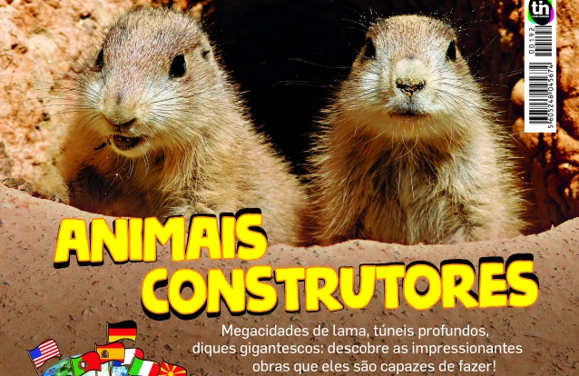 VISÃO Júnior maio 2020