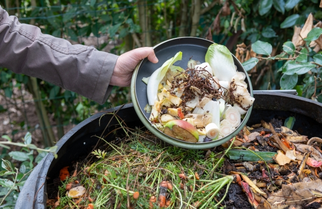 compostagem
