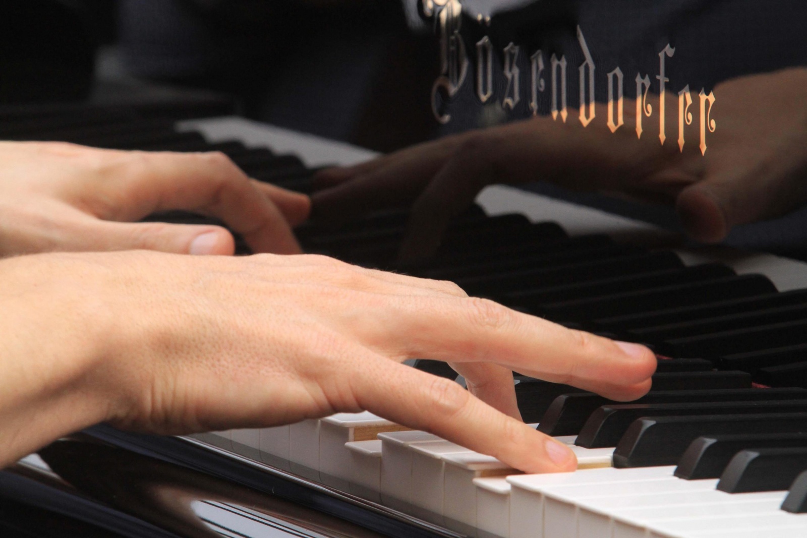 Academia de Música Flor da Murta