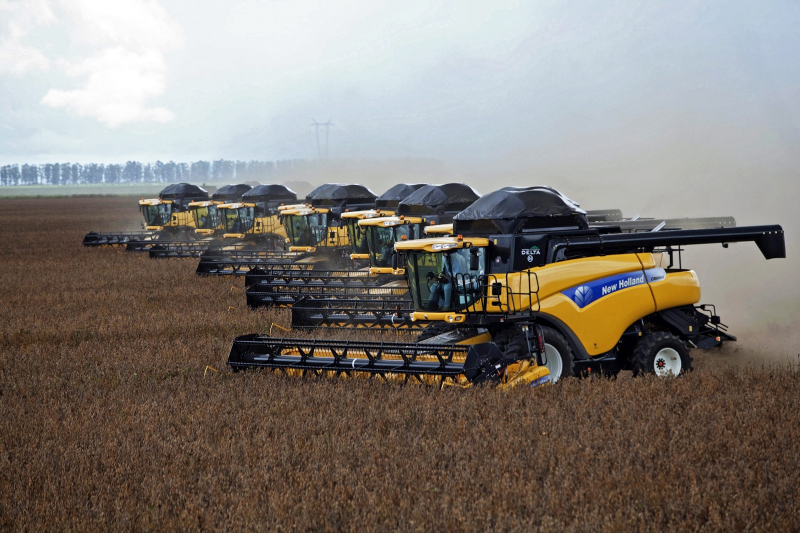 Visão OCDE e FAO projetam que Brasil será maior produtor de soja do mundo