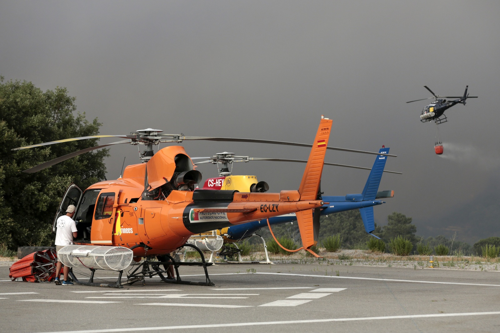 Visão Trinta E Nove Concelhos De Oito Distritos Em Risco Máximo De Incêndio 9497