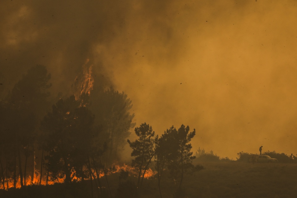 Visão | Incêndios: Seis fogos ativos mobilizam 1.177 ...