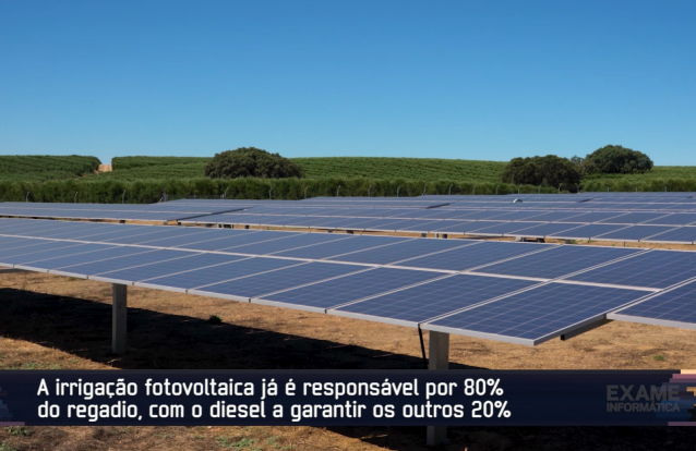 Exame Informática | Solaqua – Luz solar em Alter do Chão usada ...