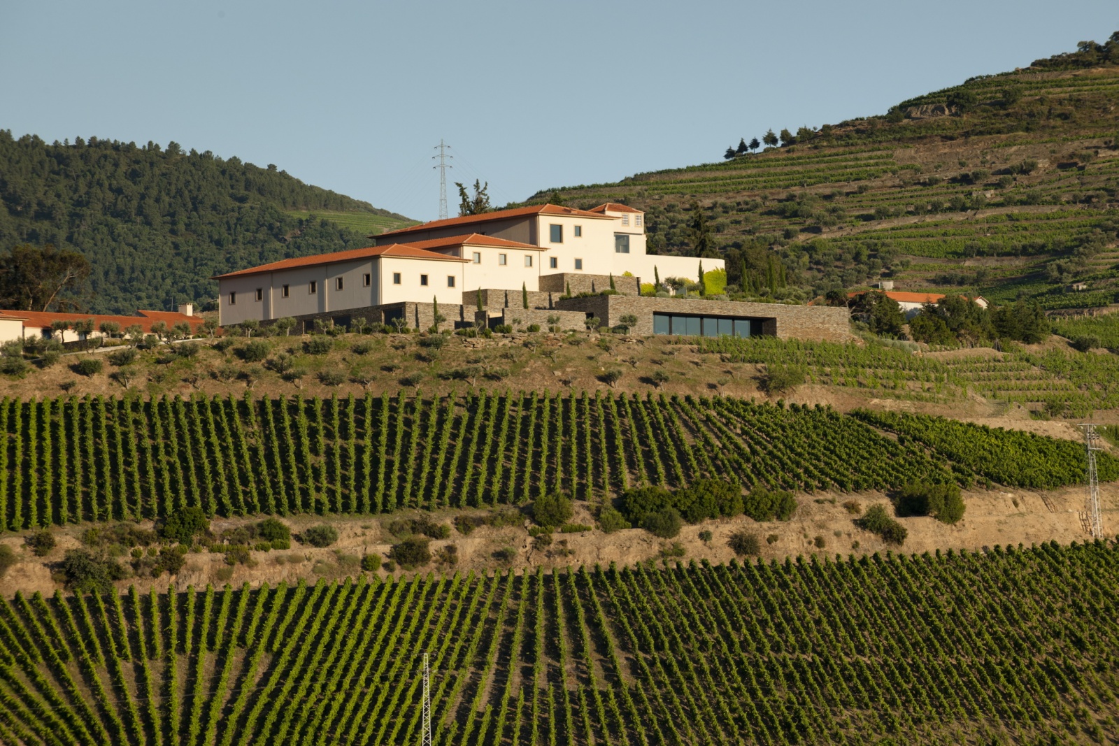 Visão | Douro: Filmes e concertos na Quinta do Seixo, em fins de tarde 