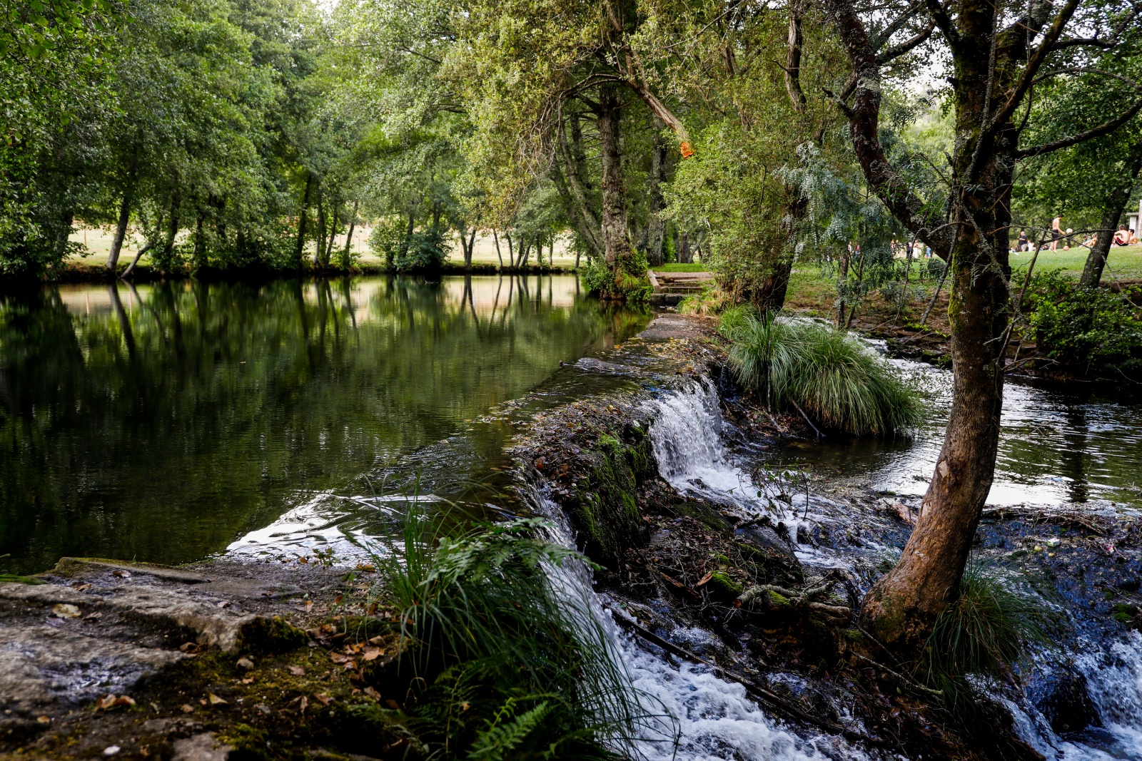 Visão Paredes de Coura, mais do que um amor de verão