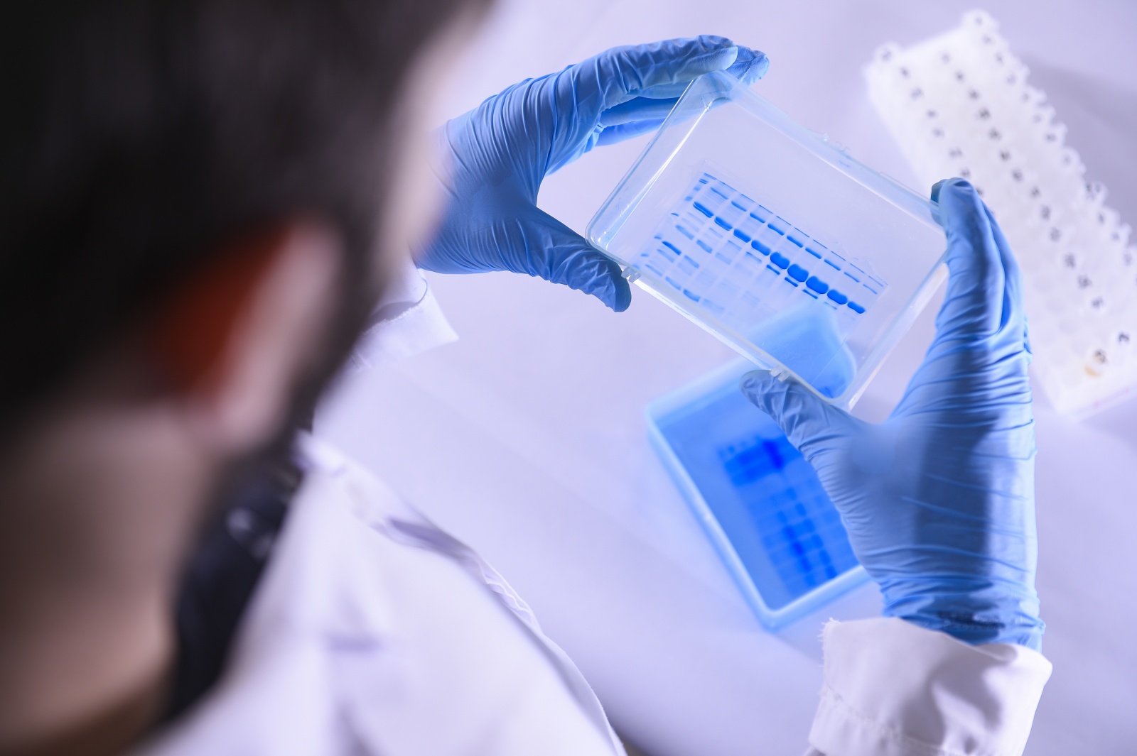 Laboratório médico