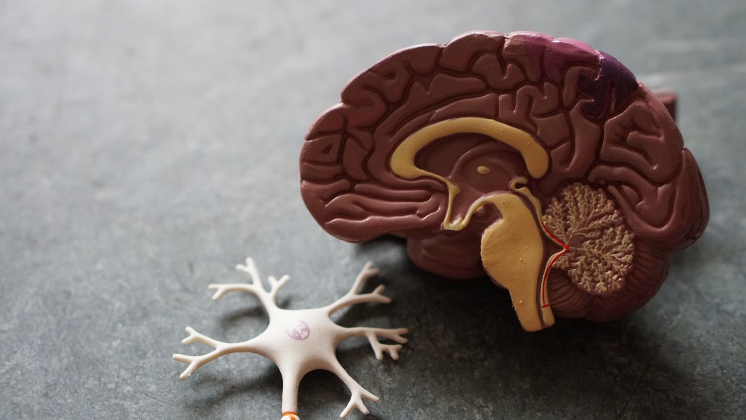 GPS neurocirurgia
