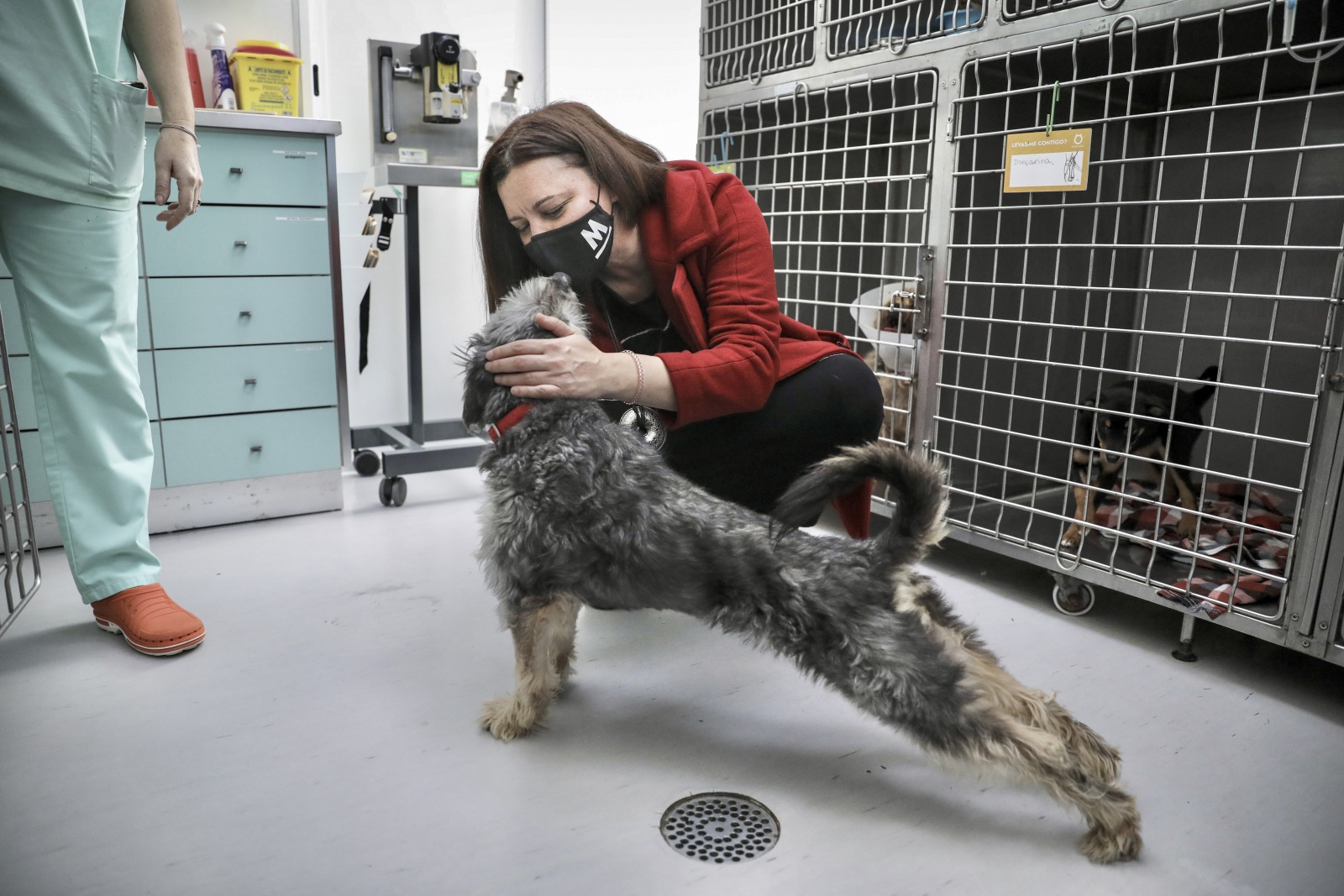 Campanha Marisa Matias dia 15 na associação SOS Animal