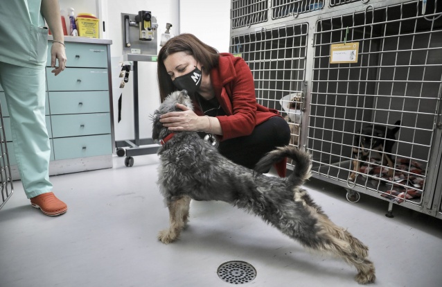 Campanha Marisa Matias dia 15 na associação SOS Animal