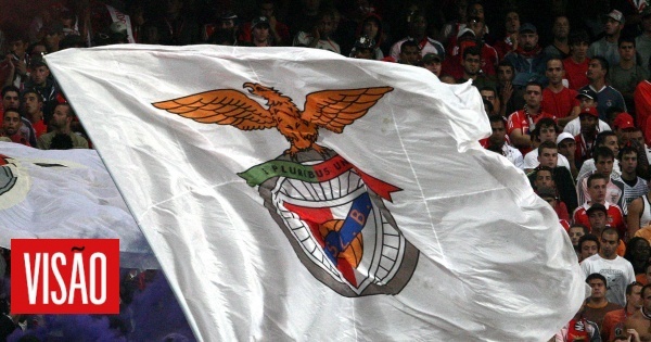 Visão | Benfica B Arranca Nova época Com 27 Jogadores, Testes Físicos E ...