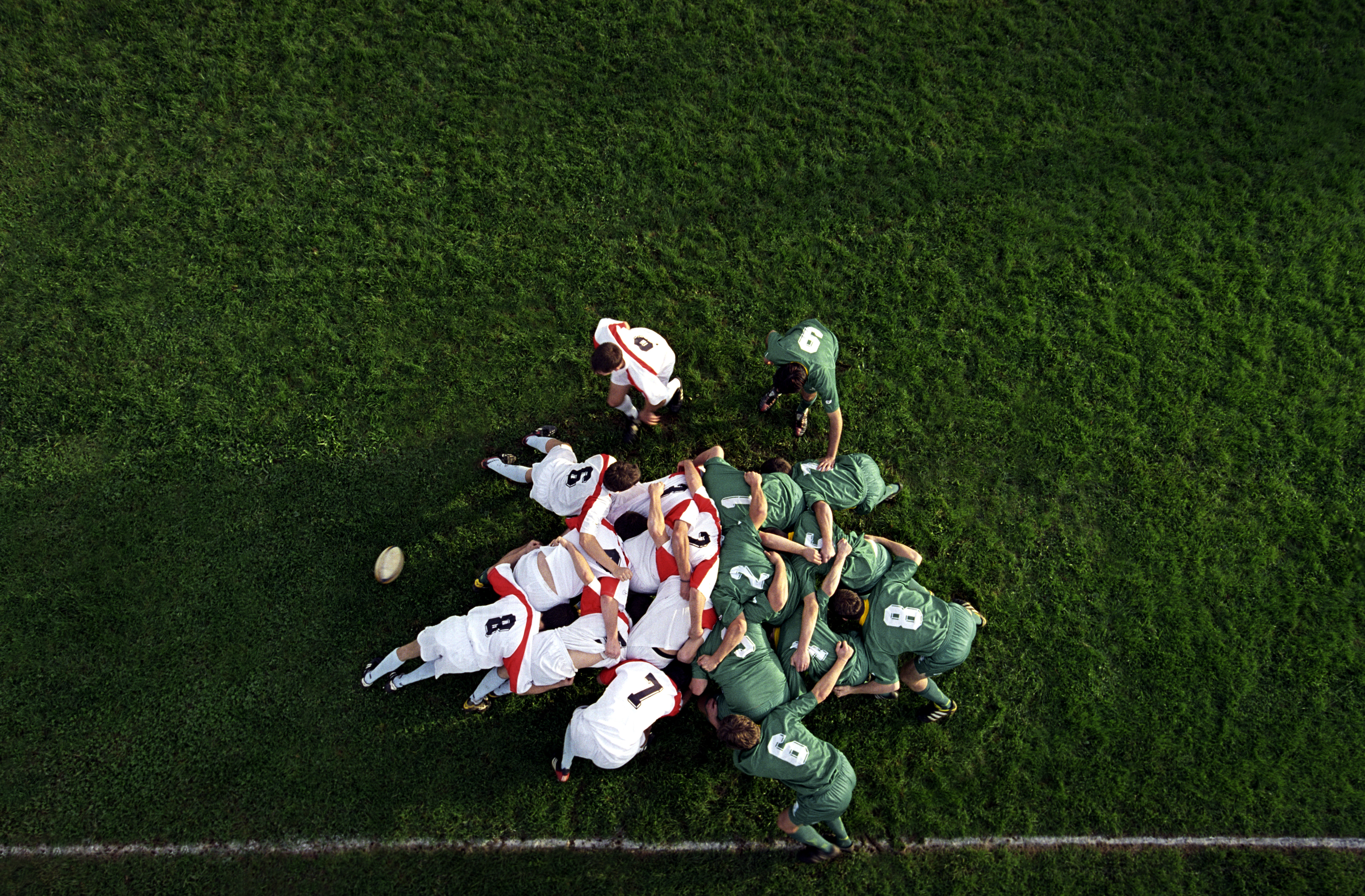 Eu só quero jogar rugby