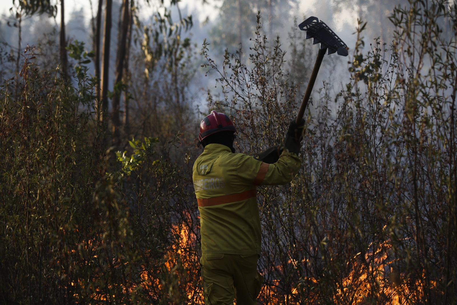 Visão Onze Concelhos De Faro E Santarém Com Risco Muito Elevado De Incêndio 5687