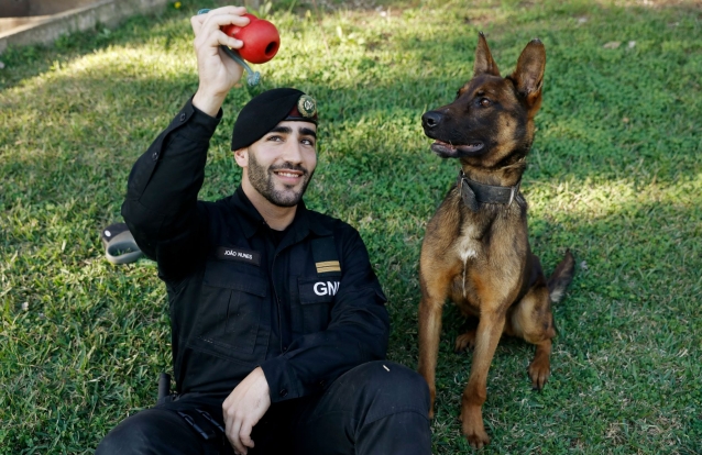 Cão das forças especiais francesas é condecorado com medalha