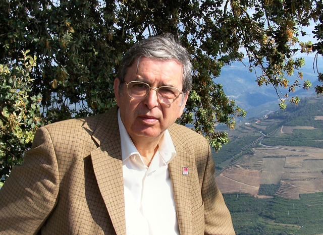A. M. Pires Cabral