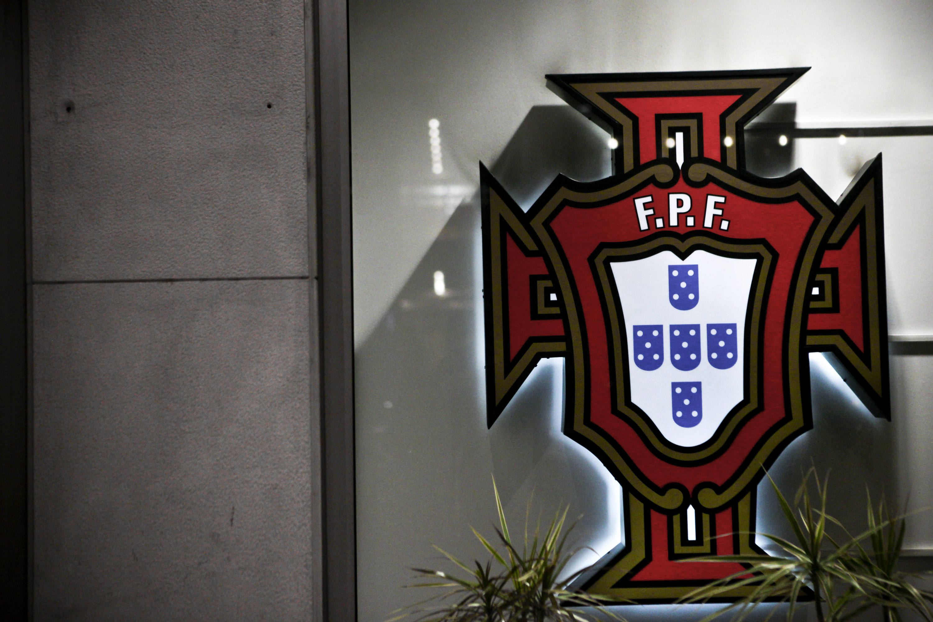 Covid-19: FPF distinguida com prémio 'Ética no Desporto' 2021 por apoio a  doentes - Seleção Nacional - SAPO Desporto