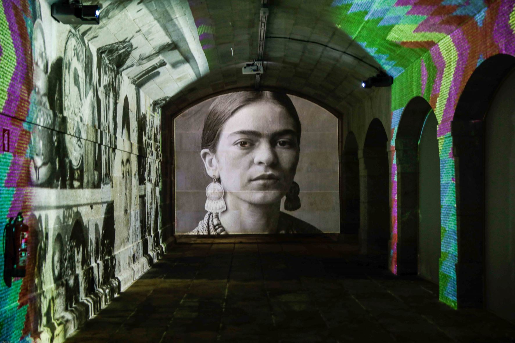 Visão  Frida Kahlo: A vida da pintora mexicana contada numa exposição  imersiva