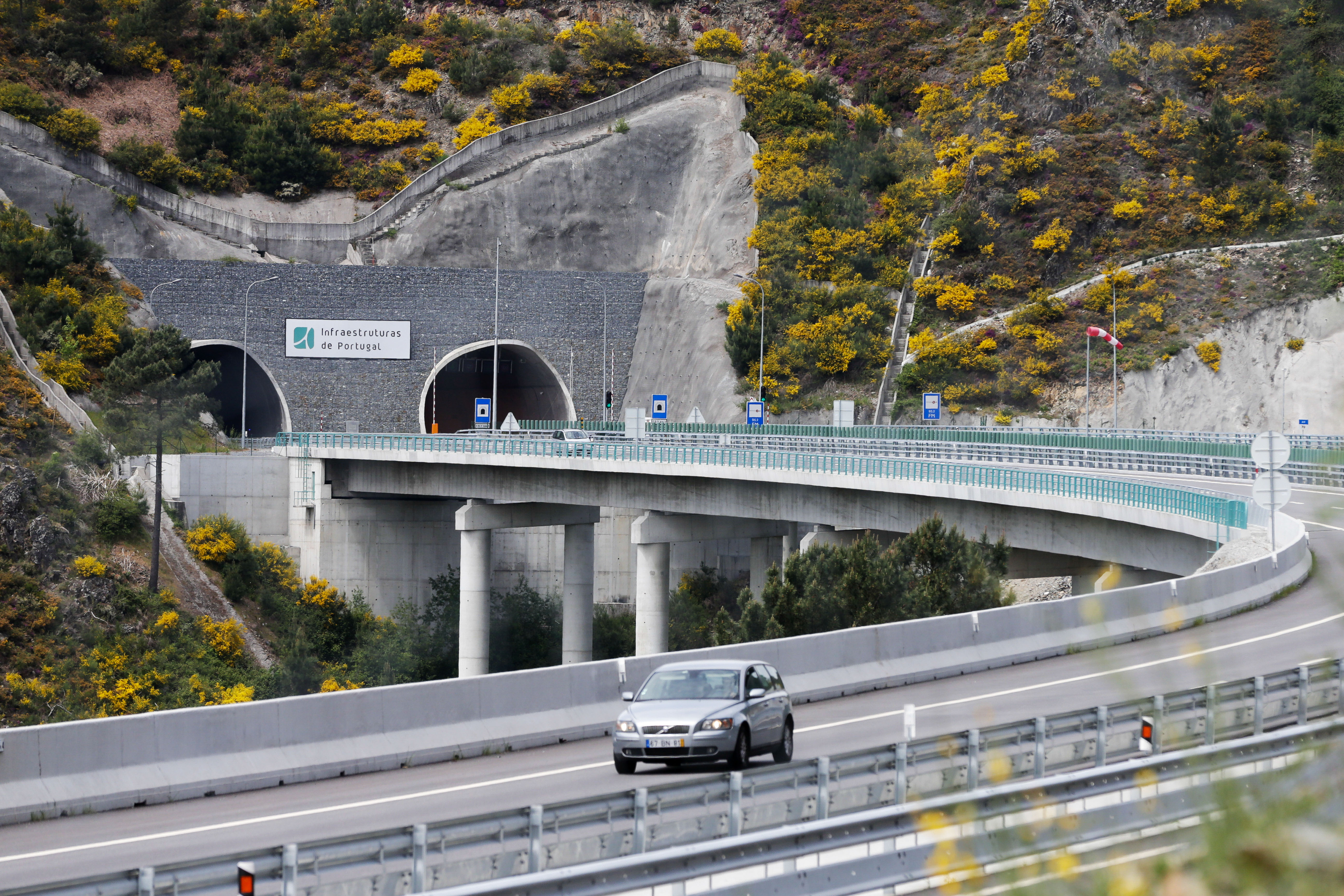 Túnel Do Gato - Temu Portugal