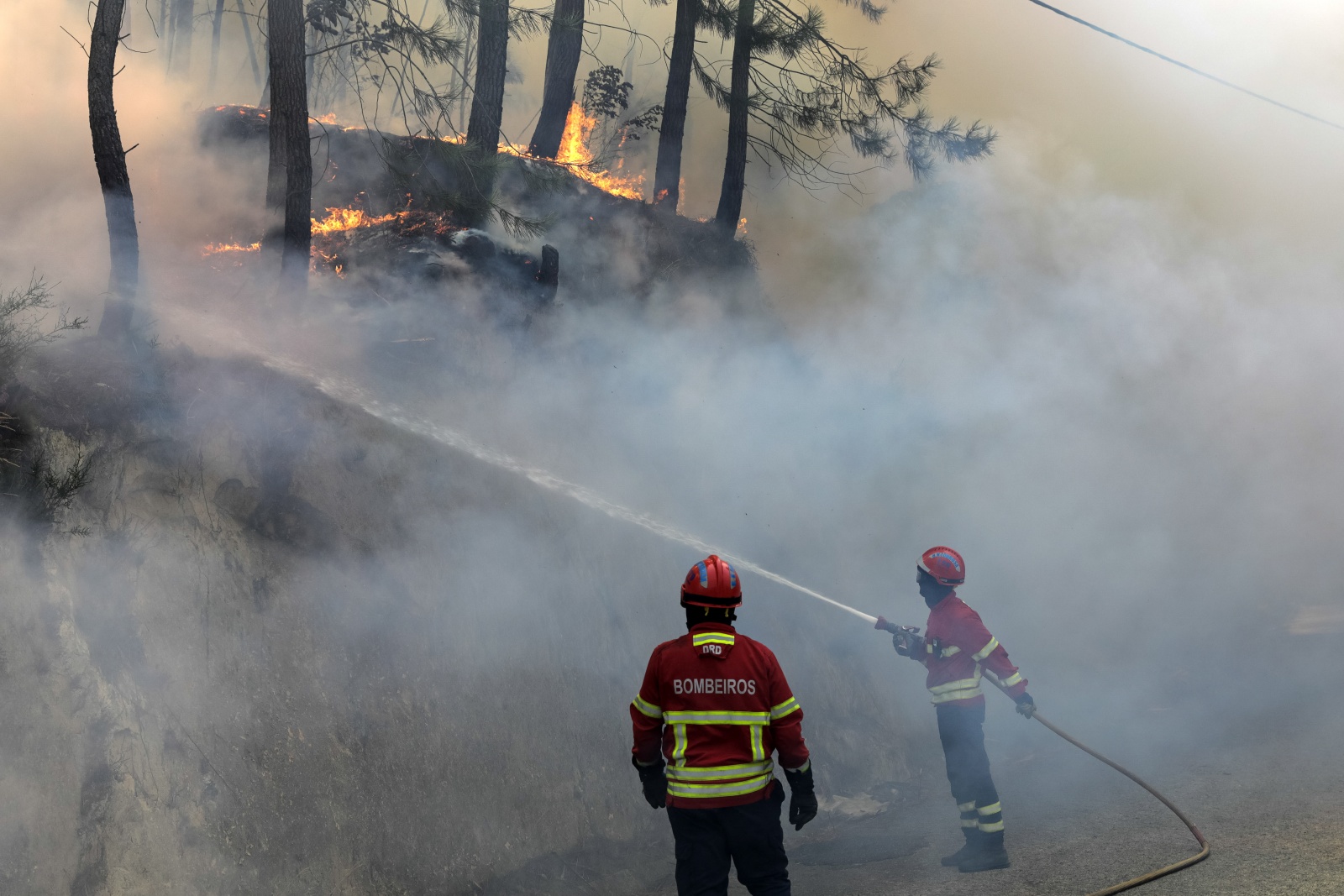 Visão Cerca De 60 Concelhos De Oito Distritos Do País Em Perigo Máximo De Incêndio 8215