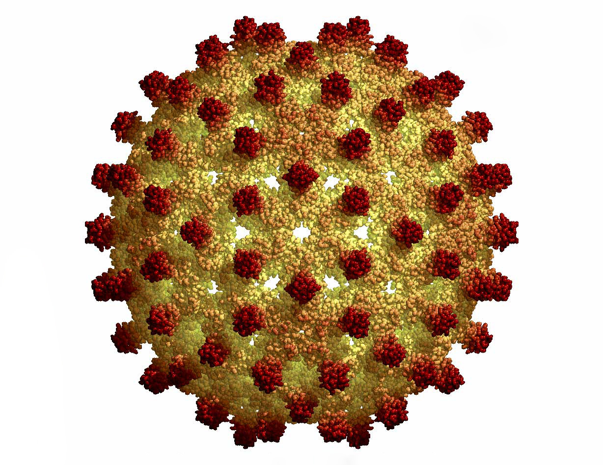 Hepatitis. Вирус гепатита б. Вирус гепатита b (HBV). Вирус гепатита в (HBV). Вирус гепатита б рисунок.