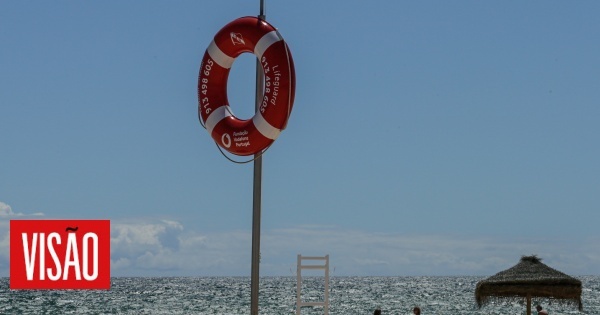 Baleia que deu à costa em Albufeira foi devolvida ao mar pela maré