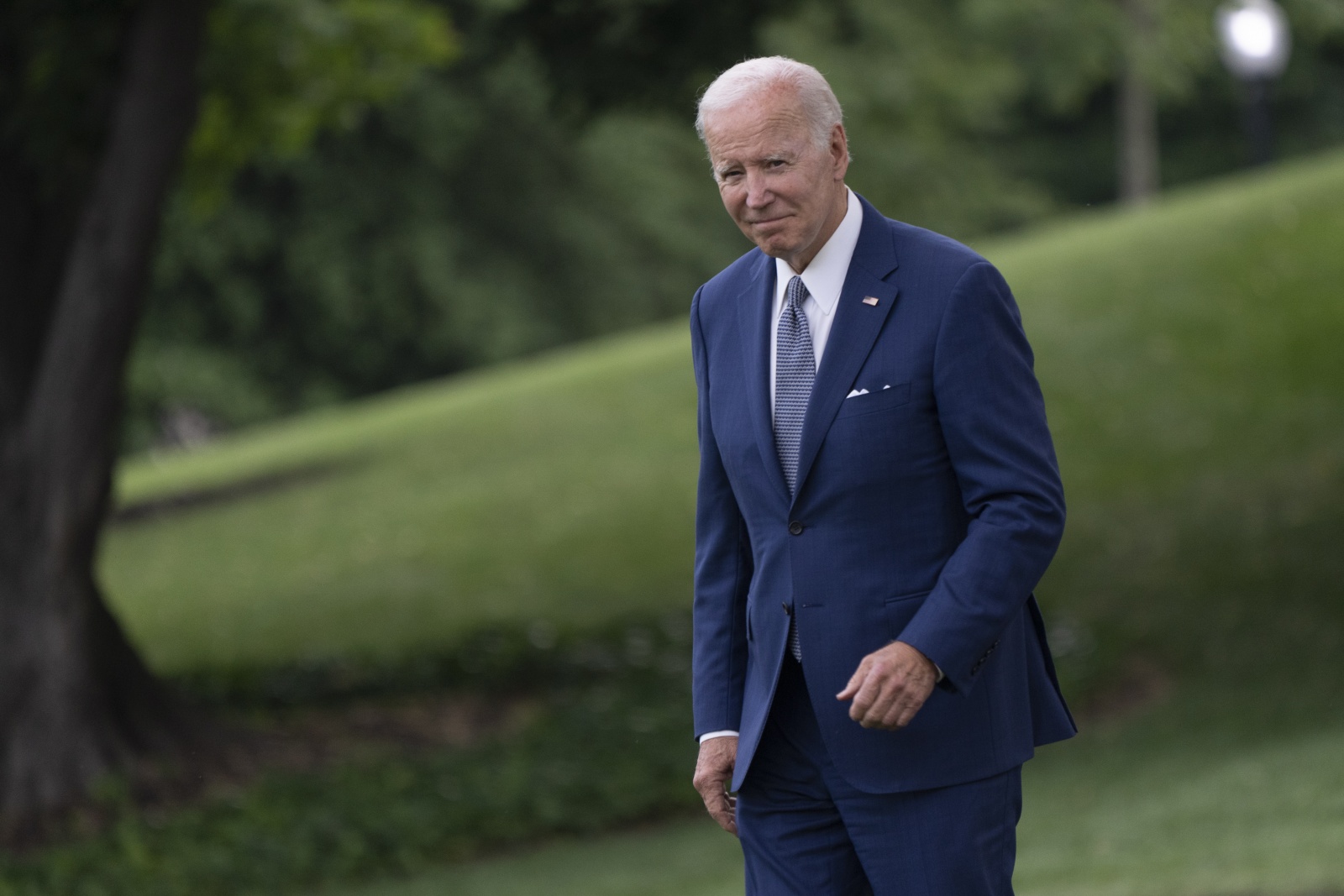 Visão Maioria dos democratas não quer Biden como candidato nas