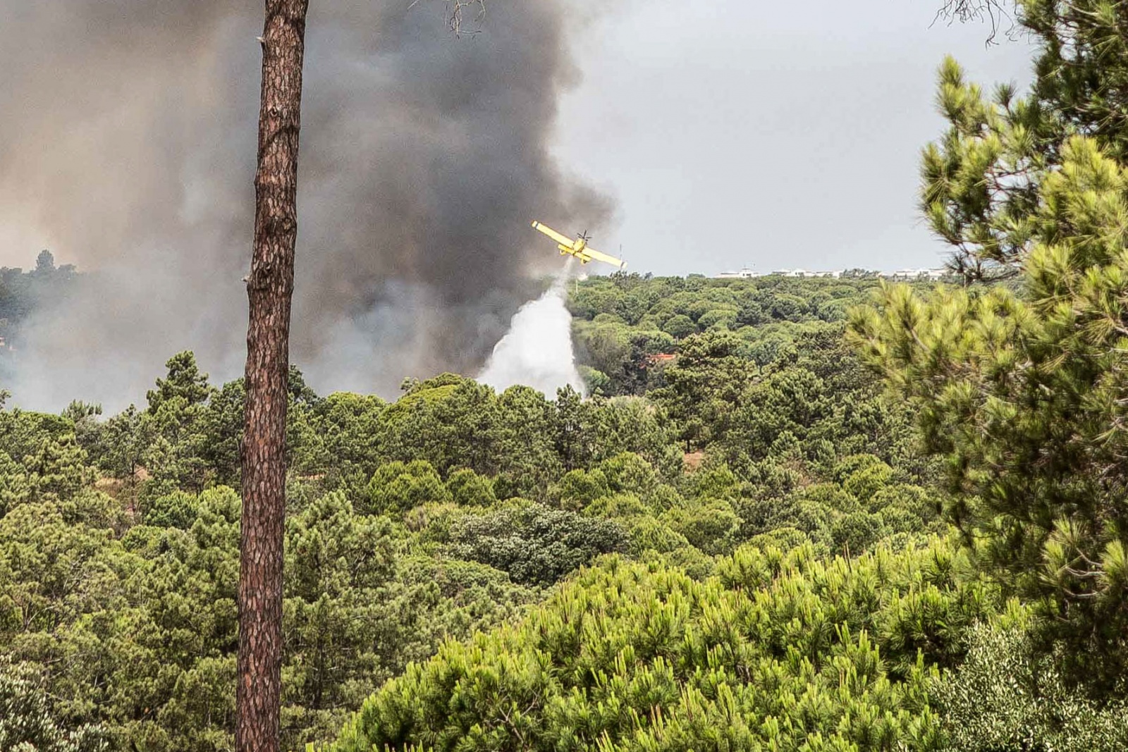 Visão Mais De 60 Concelhos De Oito Distritos Em Perigo Máximo De Incêndio 0678