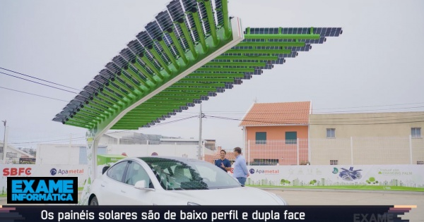 Solar Car Charging Palm, Solar Powered Charging Station
