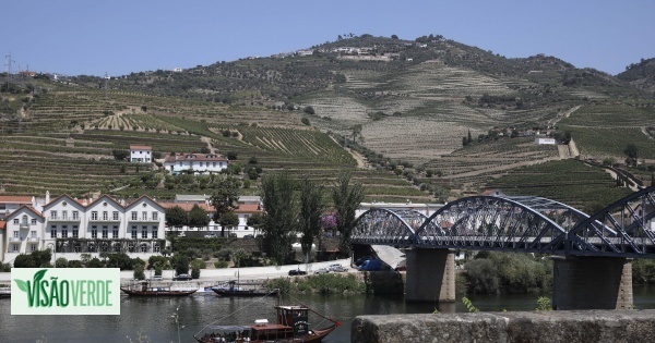 Navegabilidade no rio Douro não está a ser afetada devido à seca