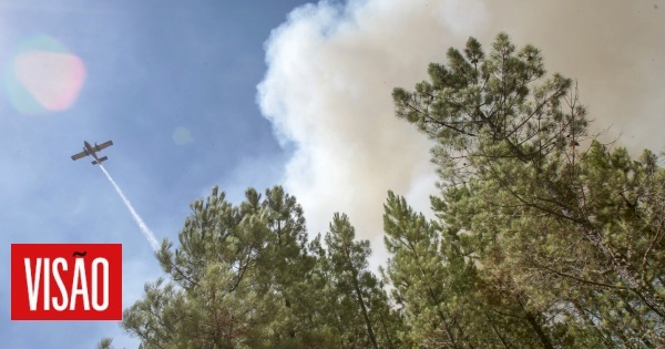 Nove meios aéreos combatem as chamas no concelho de Oliveira do Hospital