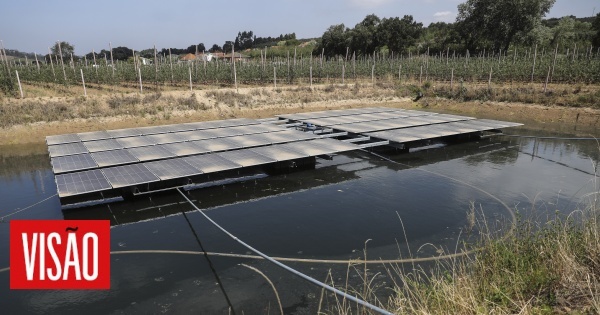 Projeto de redução hídrica coloca Maçã de Alcobaça entre as que menos água consome