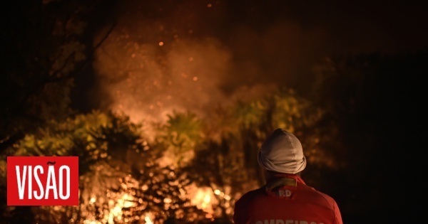 Incêndio da Serra da Estrela dado como dominado, segundo Proteção Civil