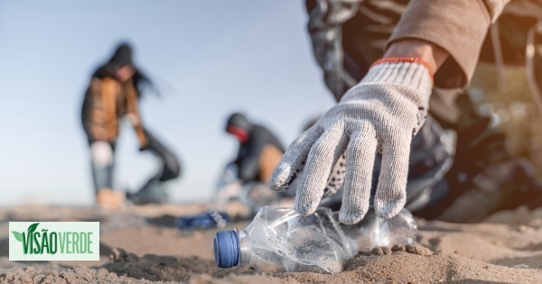 Projeto recolheu este ano 67 toneladas de plástico das praias portuguesas