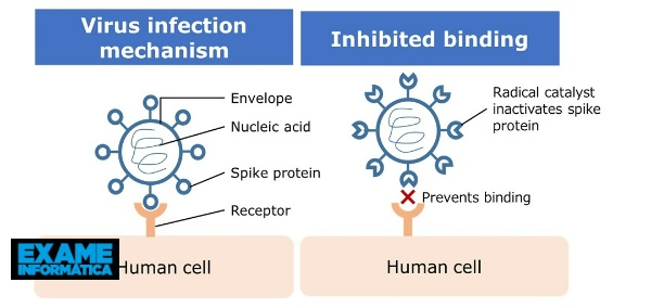 Nissan cria solução que usa espécies catalisadoras ativas para inativar vírus
