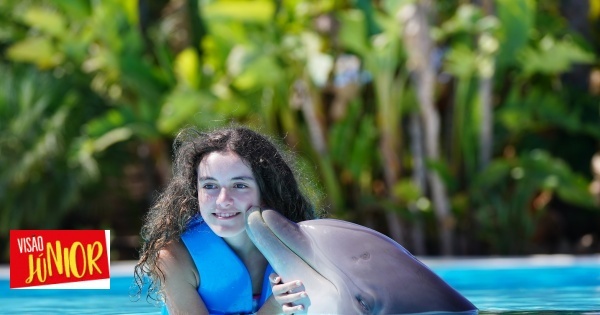 Our reader won the competition and went swimming with the dolphins!