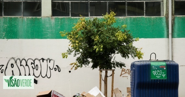 Carlos Moedas vai negociar com juntas de freguesia solução para o lixo urbano
