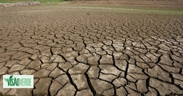 Fires and drought are the main environmental concerns of the Portuguese