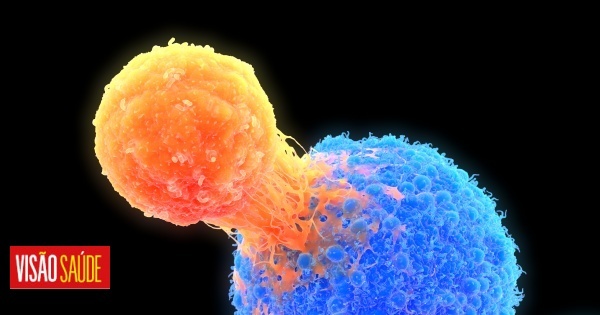 O truque das células cancerígenas para se esconderem (e protegerem) dos tratamentos