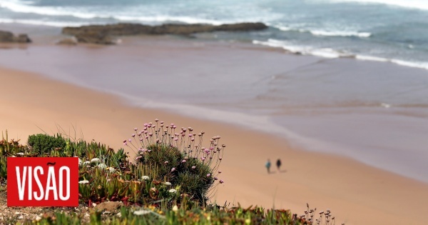 Deaths by drowning until September in Portugal exceed values ​​since 2017