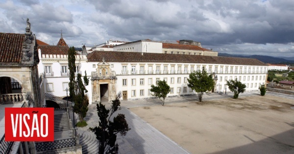 Universidade de Coimbra testa técnica inédita em Portugal para ajudar a prever resposta ao tratamento do cancro do pulmão